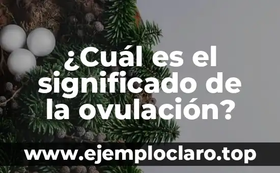¿Cuál es el significado de la ovulación?