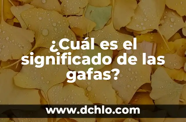 ¿Cuál es el significado de Gestapo? 4 ¿Cuál es el significado de las gafas?