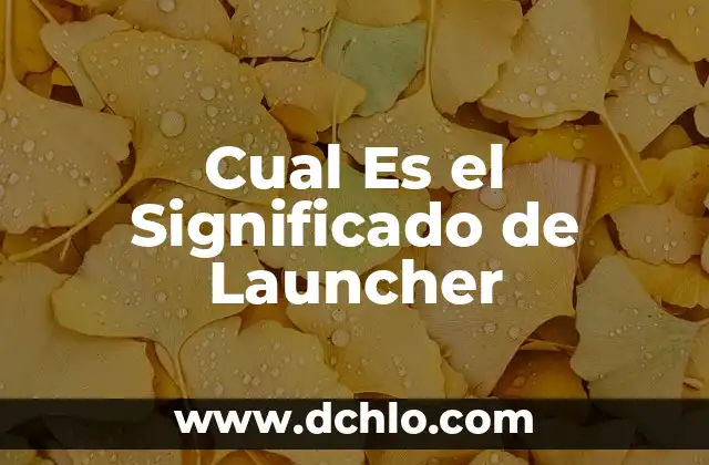 El Significado de Semilla Chía: Todo Lo Que Necesitas Saber 7 Cual Es el Significado de Launcher