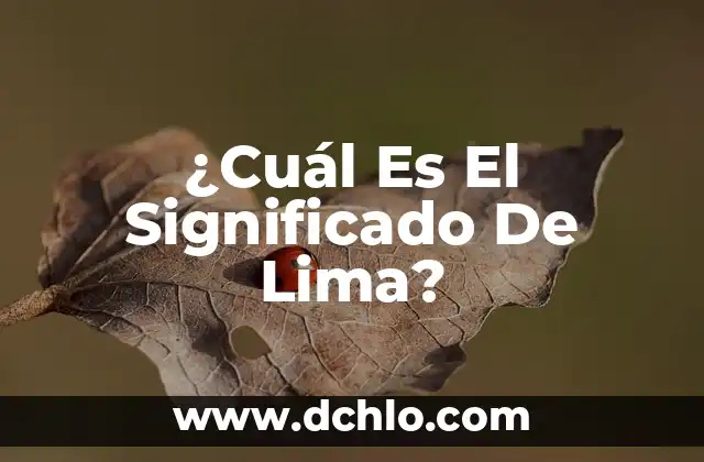 Significado de los Anuncios de Peligro: Understanding Danger Announcements 8 ¿Cuál Es El Significado De Lima?