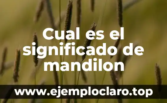 El significado en latín de 'bulla': Un viaje al origen de la palabra 6 Cual es el significado de mandilon
