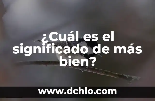 Significado de lítico: Todo sobre su origen y uso en la historia 4 ¿Cuál es el significado de más bien?