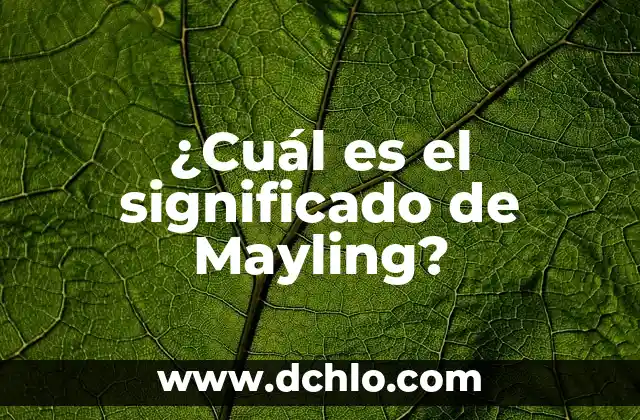 El Significado Etimológico de la Identidad Colectiva 6 ¿Cuál es el significado de Mayling?