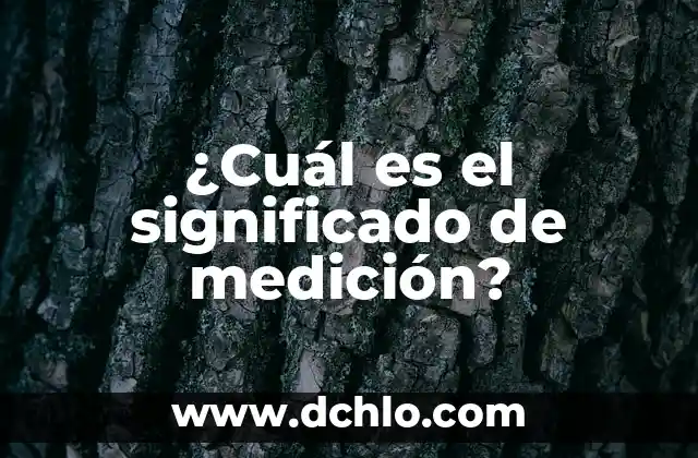 El significado del estado transitorio en la simulación: Una guía completa 7 ¿Cuál es el significado de medición?