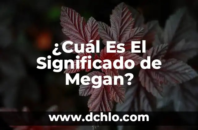 Significado Etimológico de Homo Habilis: Orígenes y Evolución del Término 7 ¿Cuál Es El Significado de Megan?
