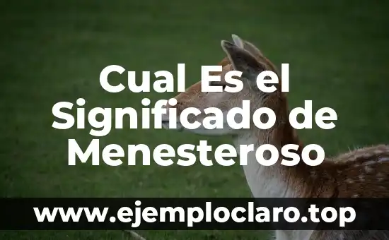 Cual Es el Significado de Menesteroso