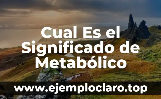 Cual Es el Significado de Metabólico