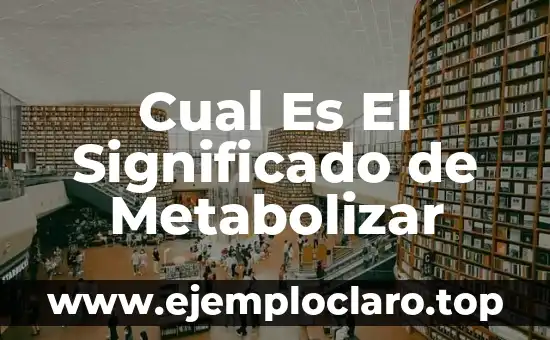 Cual Es El Significado de Metabolizar