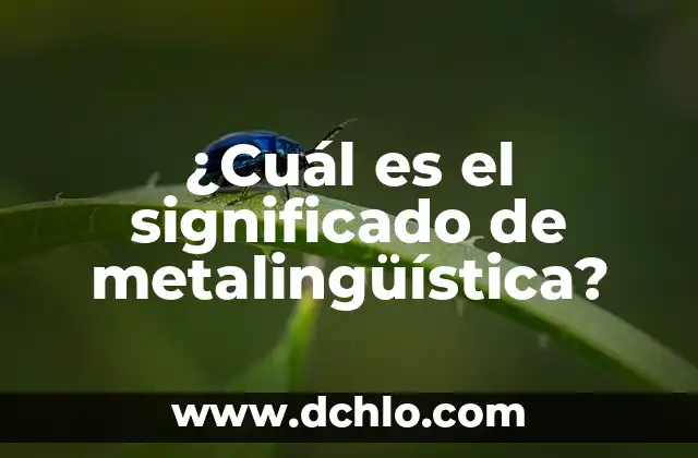 Orígenes y significado del apellido Gómez 3 ¿Cuál es el significado de metalingüística?