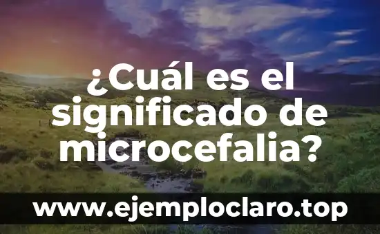 ¿Cuál es el significado de microcefalia?