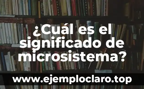¿Quién es el abuelo de Luffy? - Descubre la historia detrás de Monkey D. Garp 6 ¿Cuál es el significado de microsistema?