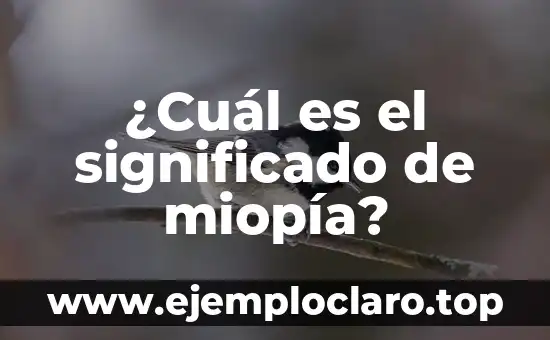 ¿Cuál es el significado de miopía?