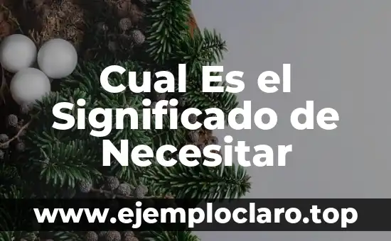 Cual Es el Significado de Necesitar