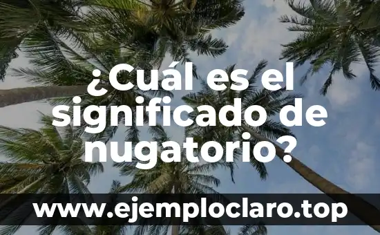 ¿Cuál es el significado de nugatorio?