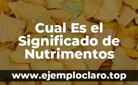 Cual Es el Significado de Nutrimentos