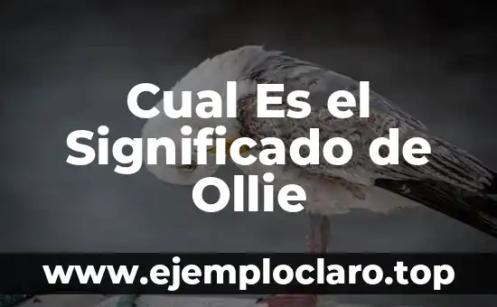 Cual Es el Significado de Ollie