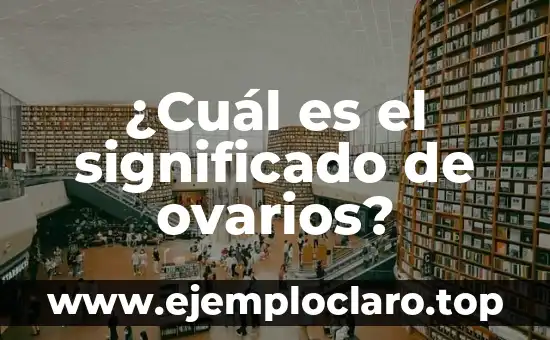¿Cuál es el significado de ovarios?