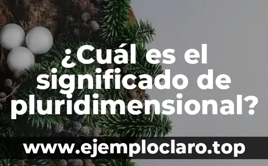 El Significado de las Estrellas Fugaces en los Sueños 7 ¿Cuál es el significado de pluridimensional?