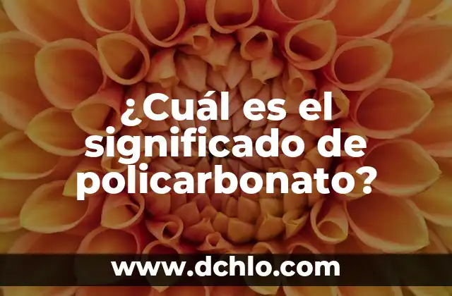 Divisibilidad de 1: ¿Cuál es el Significado de que cualquier Número es Divisor de 1? 5 ¿Cuál es el significado de policarbonato?