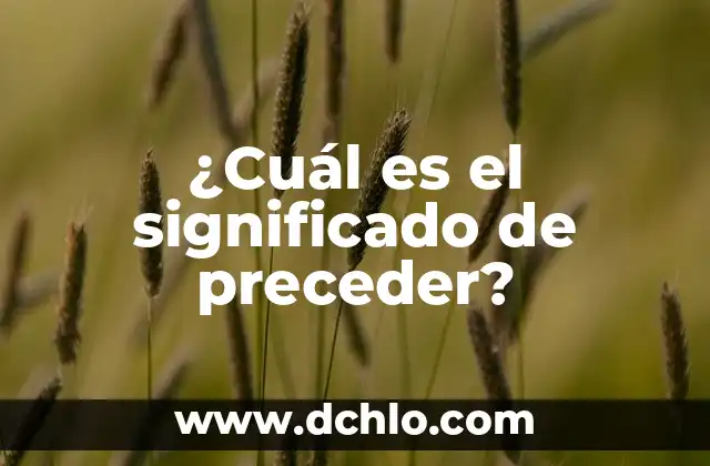 Significado Escudo de Armas Navarro 5 ¿Cuál es el significado de preceder?