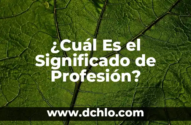Significado en Maya de Xoxoi 6 ¿Cuál Es el Significado de Profesión?
