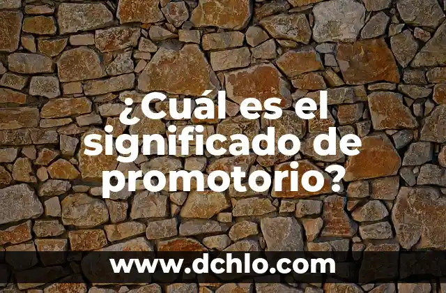 Cual es el significado de PROI 3 ¿Cuál es el significado de promotorio?