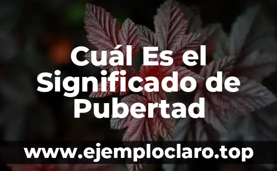¿Qué es un Texto No Literario? Definición y Características 8 Cuál Es el Significado de Pubertad