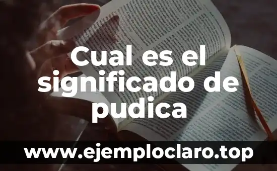 Significado Energético de las Fugas de Agua 7 Cual es el significado de pudica