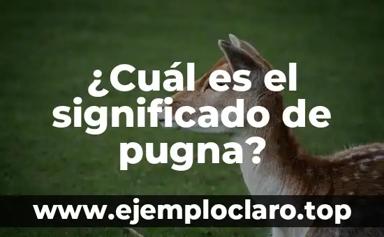 Significado Energético de las Fugas de Agua 5 ¿Cuál es el significado de pugna?