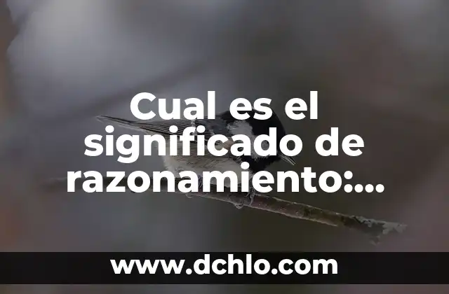 ¿Cuál es el significado de longevidad? 8 Cual es el significado de razonamiento: Understanding the Concept