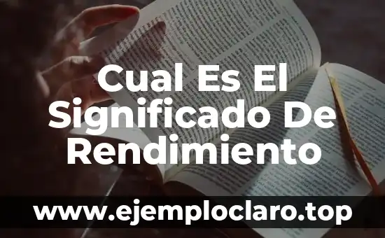 Cual Es El Significado De Rendimiento