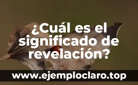 ¿Cuál es el significado de revelación?