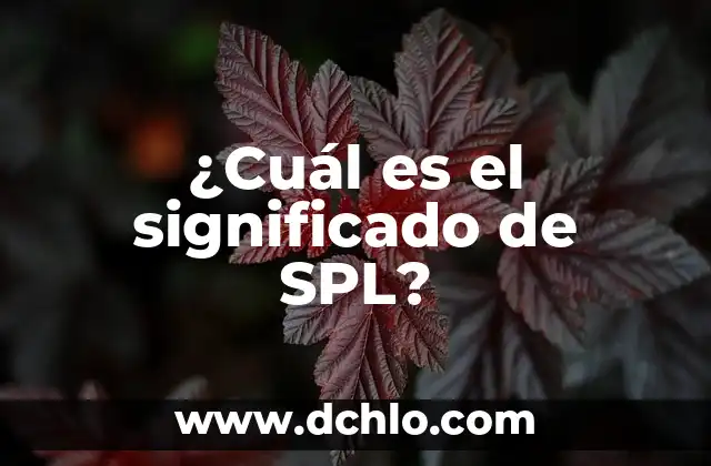 Expatriação Significado de um Corpo 4 ¿Cuál es el significado de SPL?