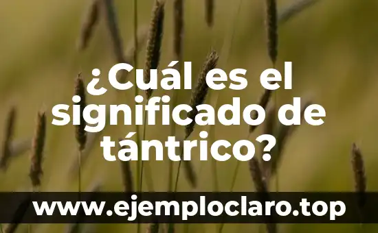 ¿Qué es el abecedario de los sueños? 6 ¿Cuál es el significado de tántrico?