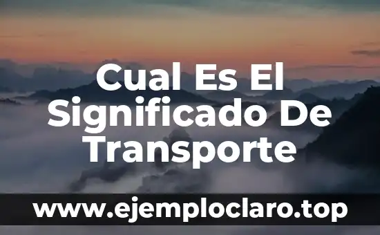 Cómo hacer el abono transporte Madrid 3 Cual Es El Significado De Transporte