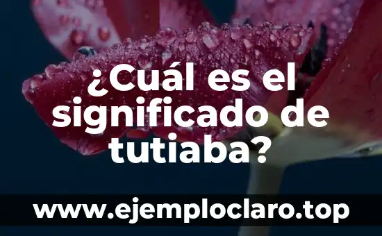 Significado en inglés de 'kick': Un viaje al corazón del significado 5 ¿Cuál es el significado de tutiaba?