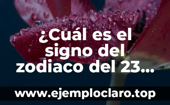 ¿Cuál ha sido el gordo de Navidad más grande de la historia? 8 ¿Cuál es el signo del zodiaco del 23 de mayo?