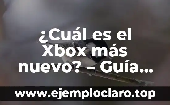 ¿Cuál es el Xbox más nuevo? – Guía completa sobre las últimas consolas de Microsoft