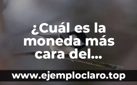 ¿Quién es Conchita, la ganadora de Tu Cara Me Suena? 5 ¿Cuál es la moneda más cara del mundo?
