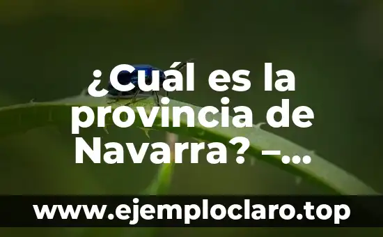 ¿Cuál es la provincia de Navarra? – Descubre todo sobre esta región española