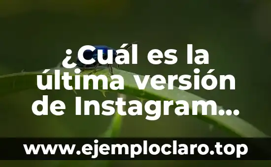 ¿Cuál es la última versión de Instagram en 2023?