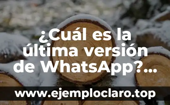 ¿Cuál es la última versión de WhatsApp? – Actualización y características