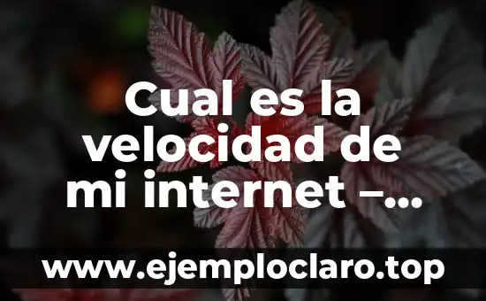 Aplicaciones para Ligar Gratis Sin Pagar Nada - Encuentra tu Match Perfecto 4 Cual es la velocidad de mi internet – Verifica tu velocidad de conexión ahora