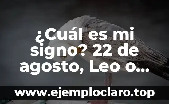 ¿Cuál es mi signo? 22 de agosto, Leo o Virgo?