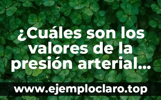 ¿Cuáles son los valores de la presión arterial normales? - Guía completa sobre la presión arterial