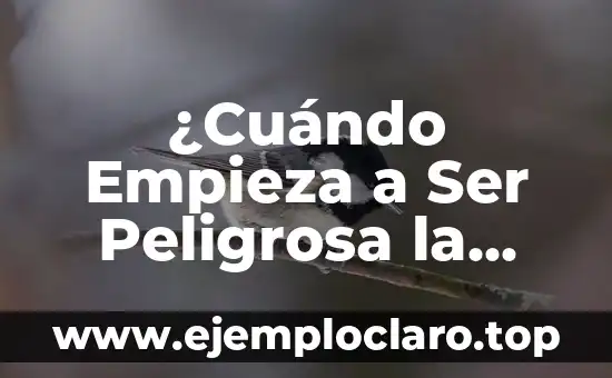 ¿A qué hora empieza WrestleMania 40? - Guía Completa y Detallada 8 ¿Cuándo Empieza a Ser Peligrosa la Fiebre? Guía Completa