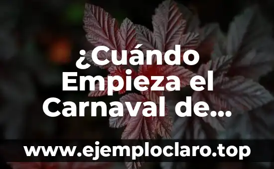 ¿Cuándo Empieza el Carnaval de Cádiz 2023? - Guía Completa