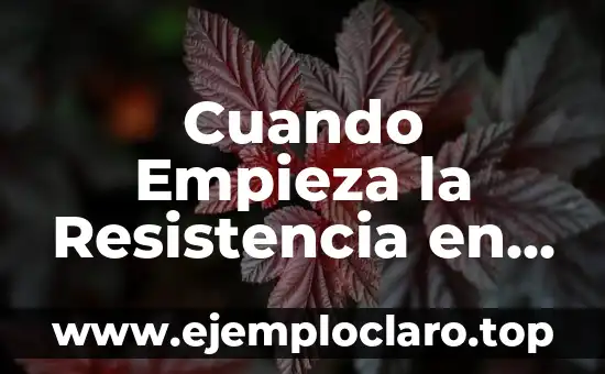 Cuando Empieza la Resistencia en TVE: Guía Completa y Detallada