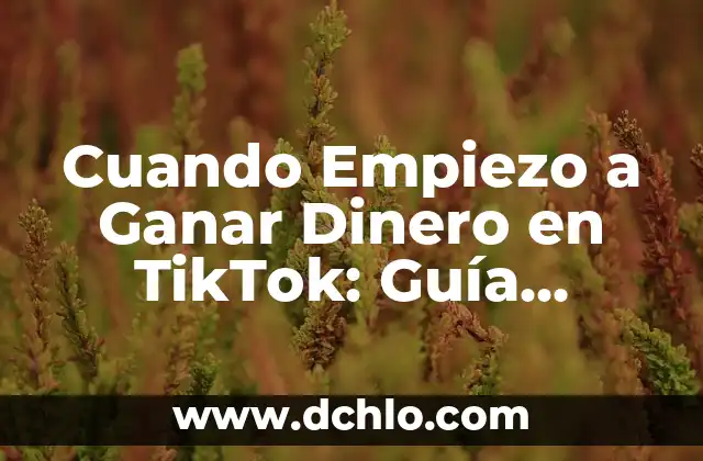Cómo Descargar Fotos de TikTok sin Marca de Agua de Forma Gratuita y Fácil 3 Cuando Empiezo a Ganar Dinero en TikTok: Guía Definitiva