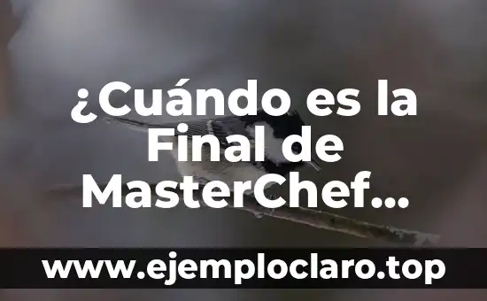 ¿Cuándo es la Final de MasterChef Junior? – Descubre la Fecha y el Horario